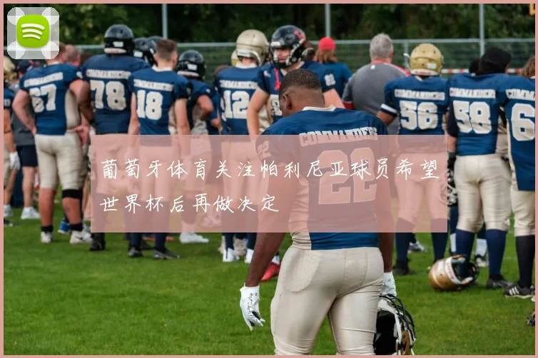 葡萄牙体育关注帕利尼亚球员希望世界杯后再做决定