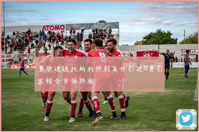 曼联追逐托纳利热刺高价引进M费引发转会市场热潮