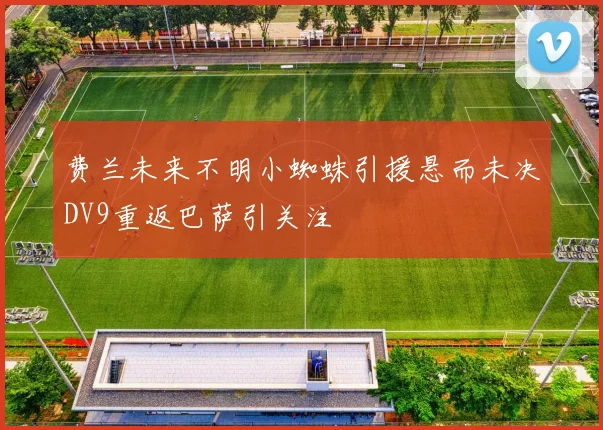 费兰未来不明小蜘蛛引援悬而未决DV9重返巴萨引关注
